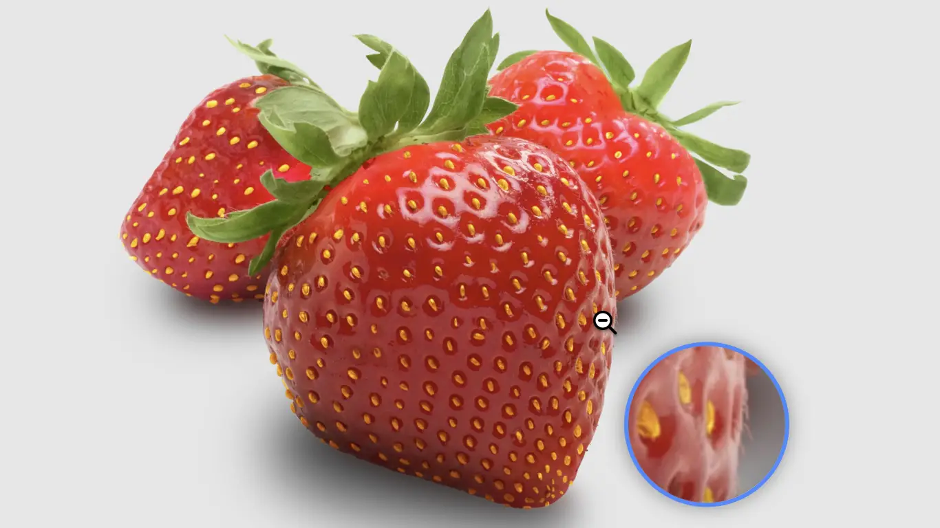 Magnifier preset